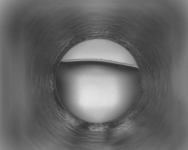 X0000058110661200509230821