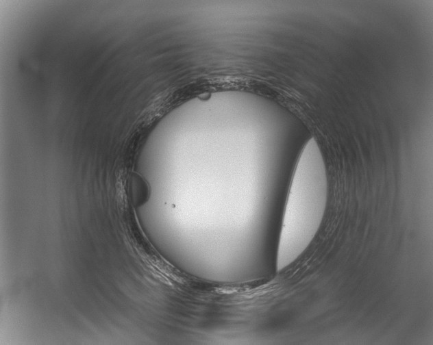 X0000058110662200509230821