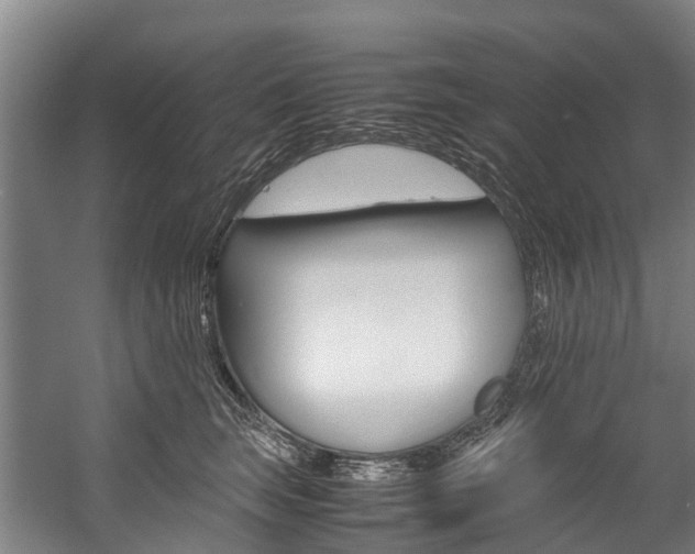 X0000058110663200509230821