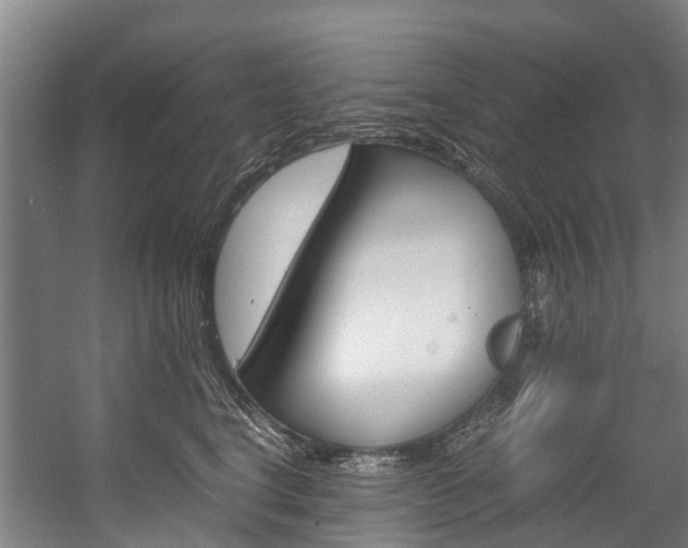 X0000058110664200509230821