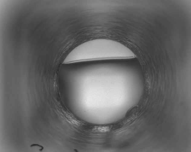 X0000058110665200509230821