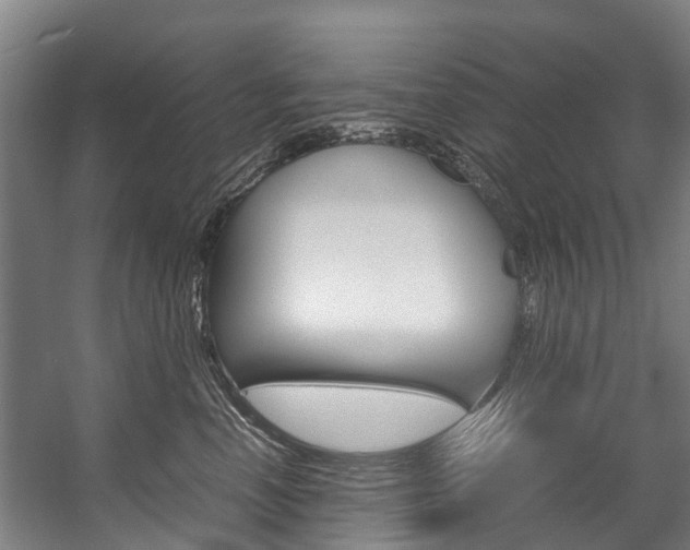 X0000058110666200509230821