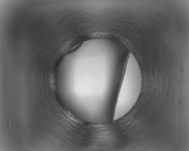 X0000058110669200509230821