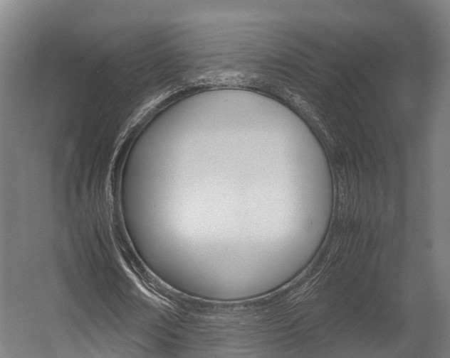 X0000058110674200509230821