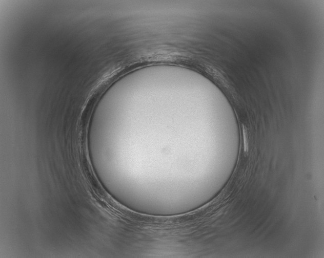 X0000058110675200509230821