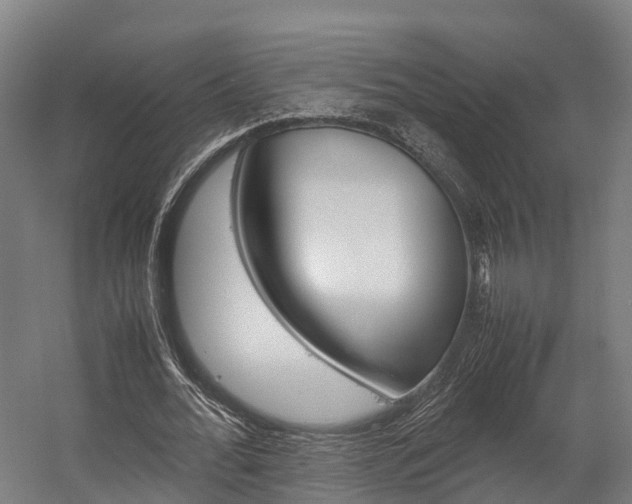 X0000058110676200509230821