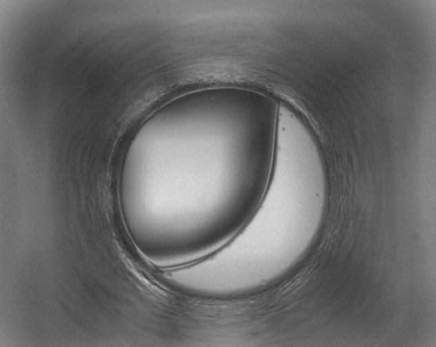 X0000058110677200509230821