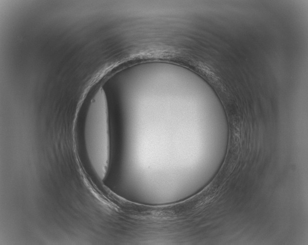 X0000058110678200509230821