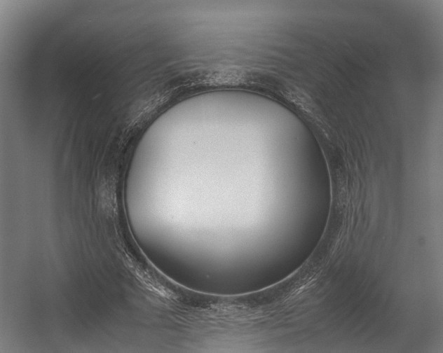 X0000058110681200509230821