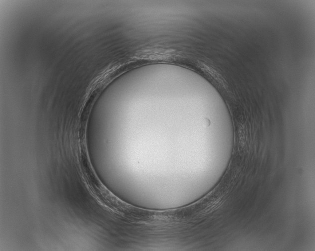 X0000058110682200509230821