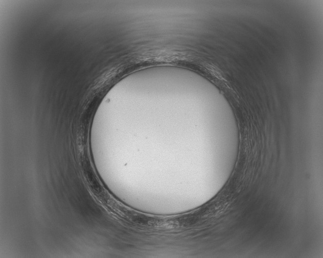 X0000058110683200509230821