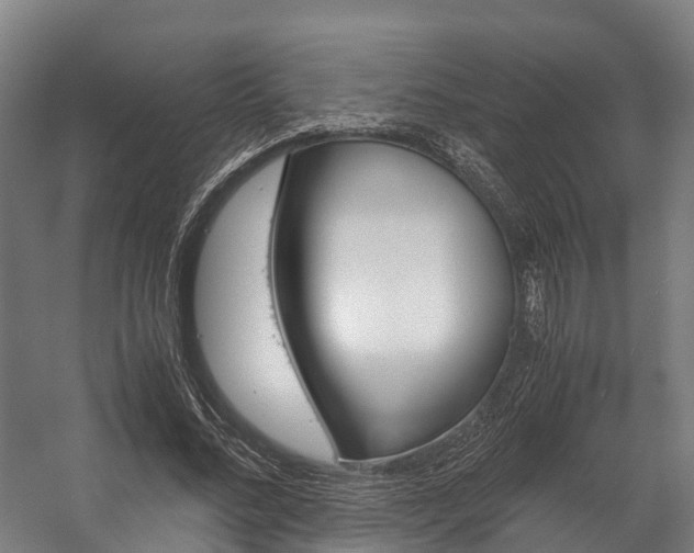 X0000058110684200509230821