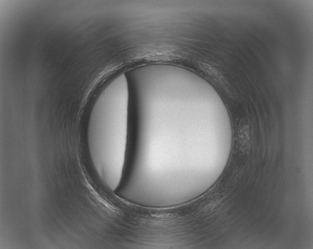 X0000058110686200509230821