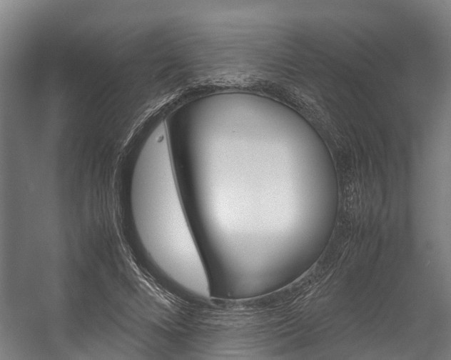 X0000058110688200509230820