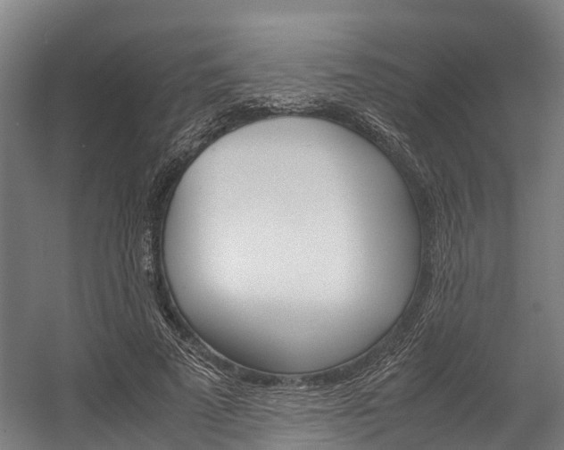 X0000058110689200509230820