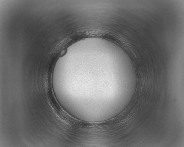 X0000058110690200509230820