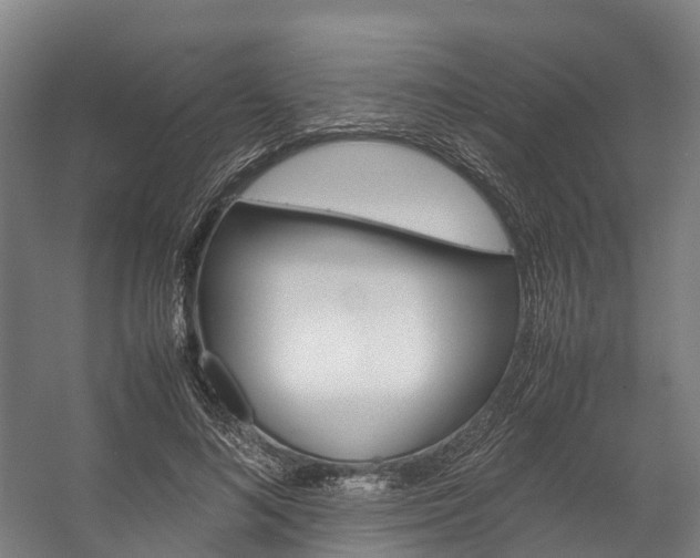 X0000058110692200509230820