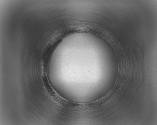 X0000058110696200509230820