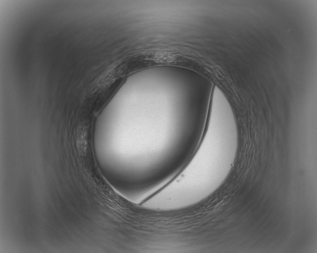X0000058110697200509230820