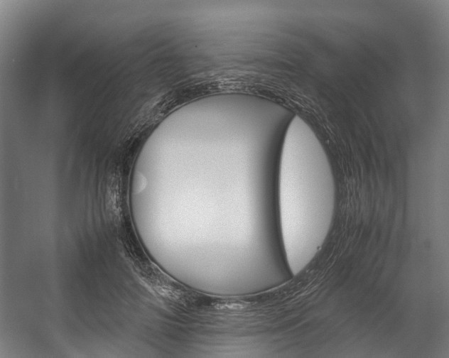 X0000058110698200509230820