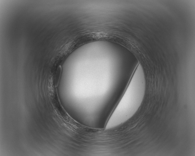 X0000058110700200509230820