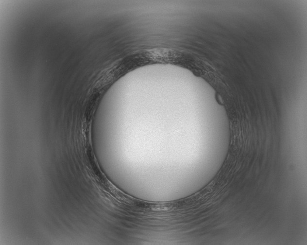 X0000058110702200509230820