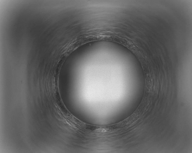 X0000058110704200509230820