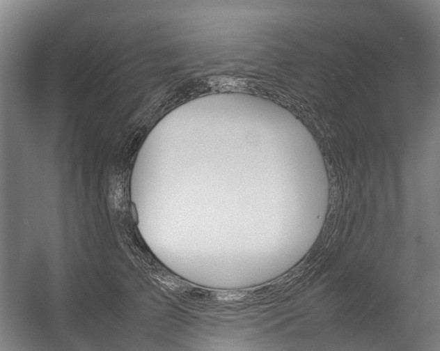 X0000058110709200509230820