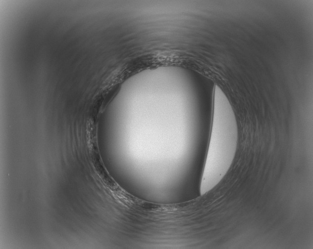 X0000058110712200509230820