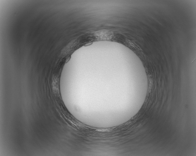 X0000058110713200509230820