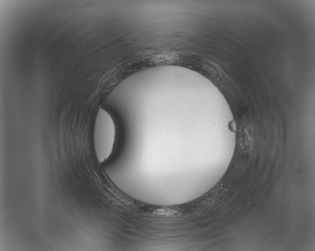 X0000058110714200509230820