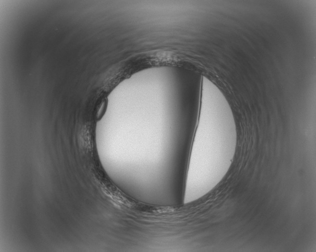 X0000058110715200509230820