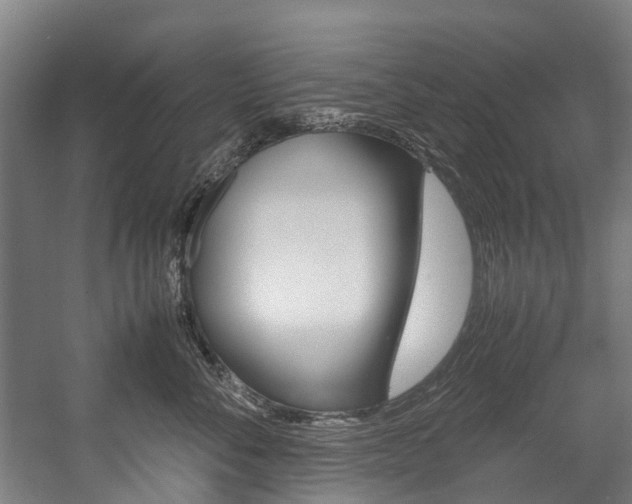 X0000058110716200509230820