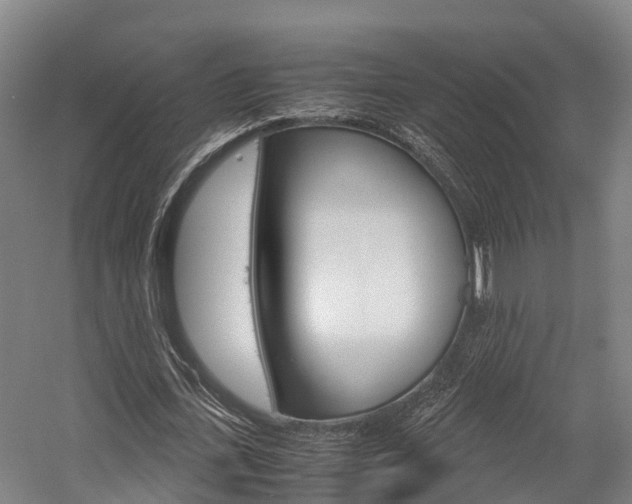 X0000058110723200509230819