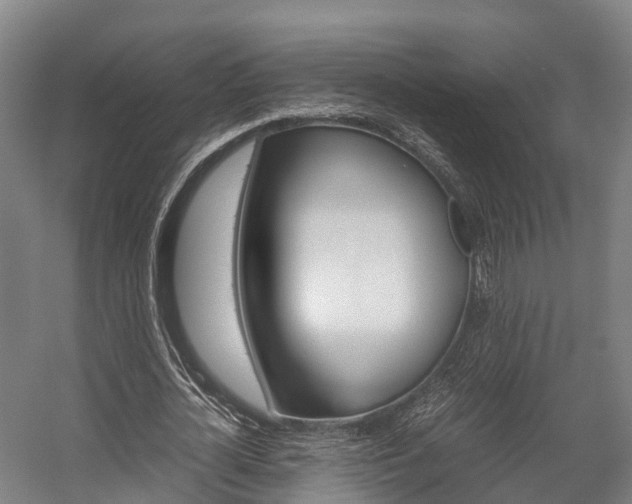 X0000058110724200509230819