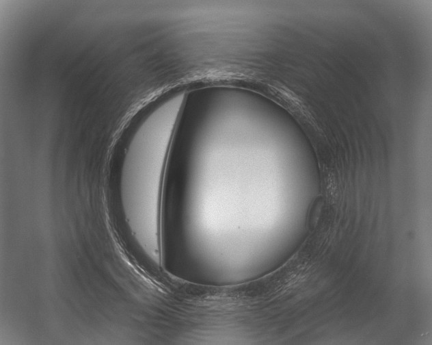 X0000058110732200509230819