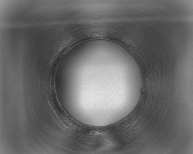 X0000058110739200509230819