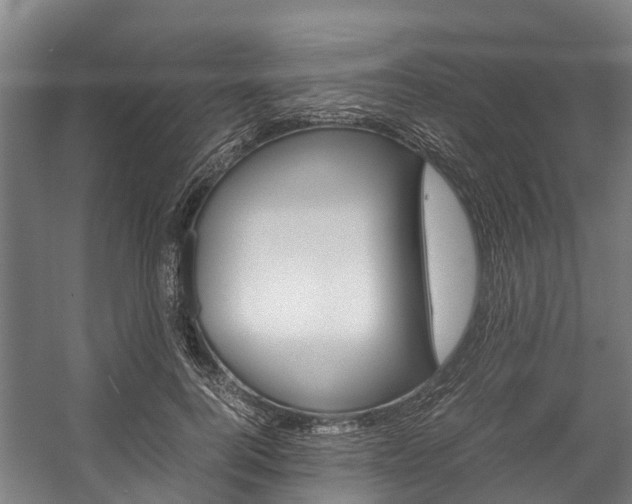 X0000058110744200509230820