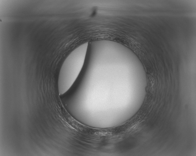 X0000058110745200509230820