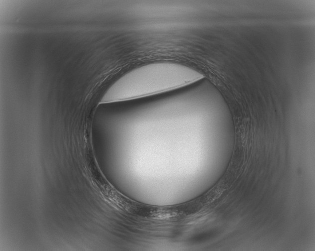 X0000058110746200509230820