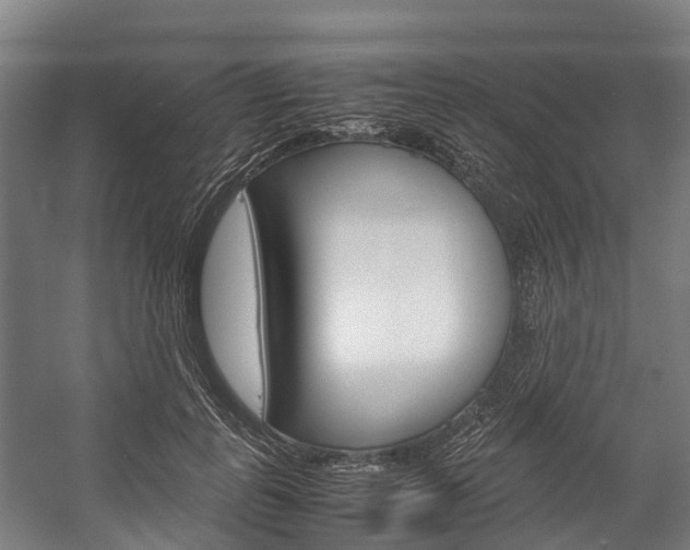 X0000058110747200509230820