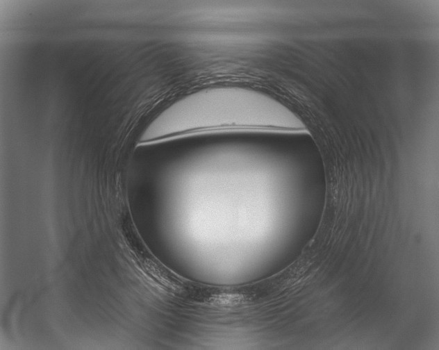 X0000058110748200509230820