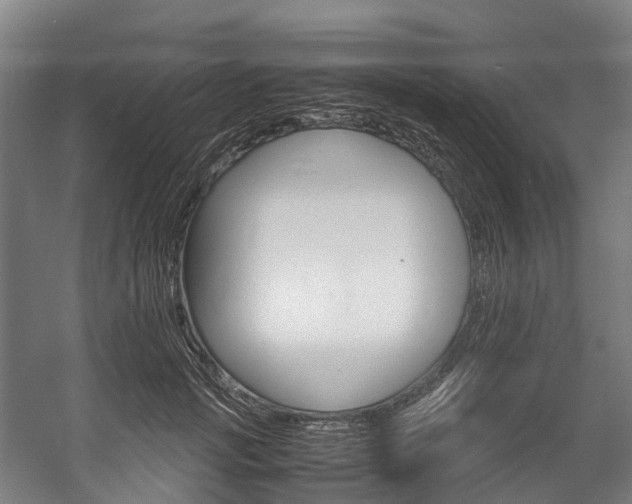 X0000058110749200509230820