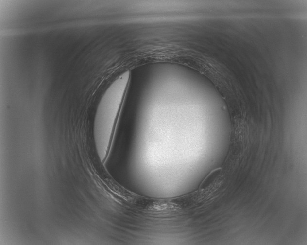 X0000058110752200509230820
