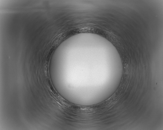 X0000058110753200509230820