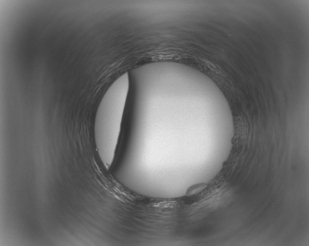 X0000058110761200509230820