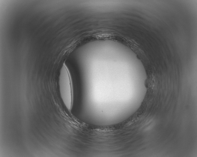 X0000058110763200509230820