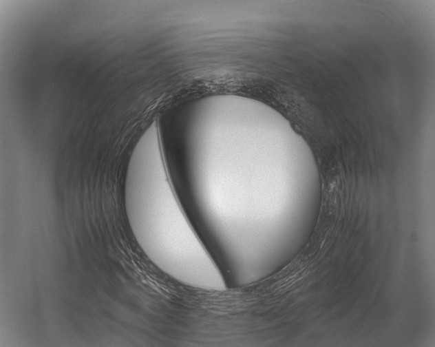 X0000058110772200509230819