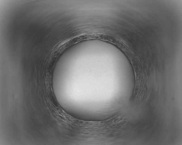 X0000058110773200509230819