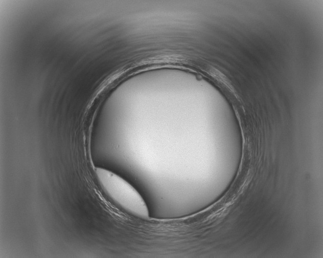 X0000058110781200509230819